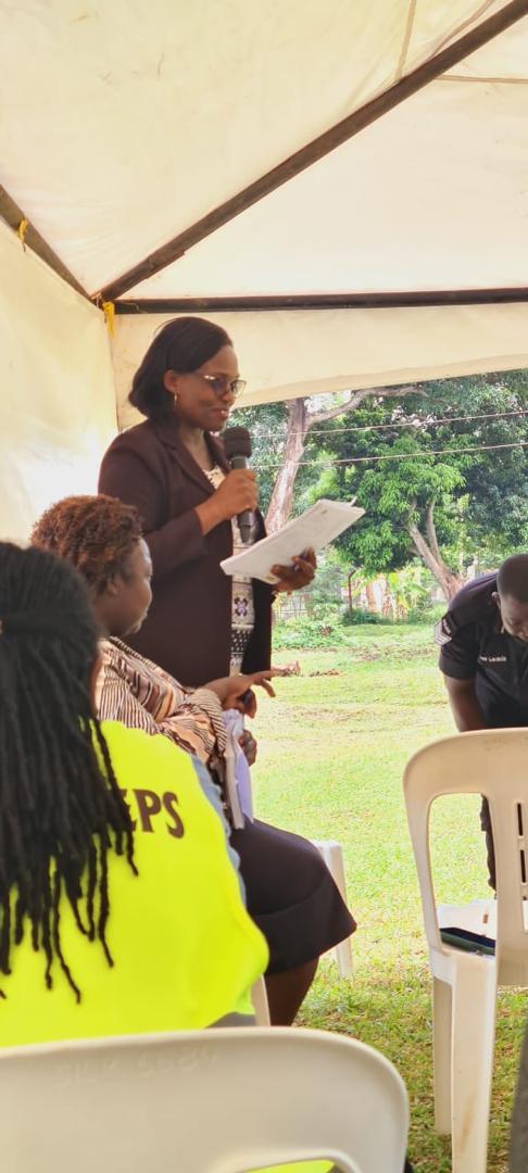 Structural Framework Erection